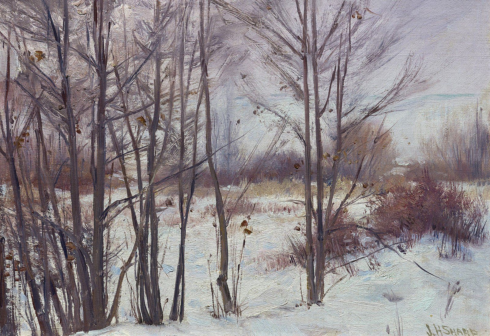 The Winter Screen